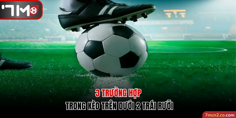 3 trường hợp trong kèo trên dưới 2 trái rưỡi