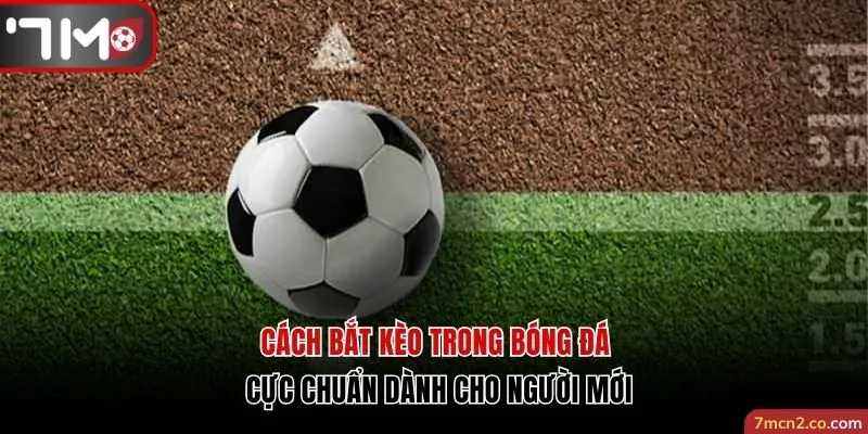 Cách Bắt Kèo Trong Bóng Đá Chuẩn Dành Cho Người Mới