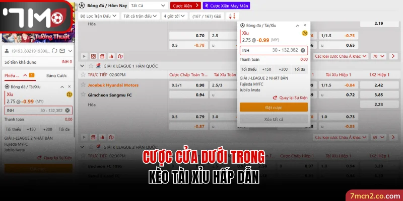 Cược cửa dưới trong kèo Tài Xỉu hấp dẫn