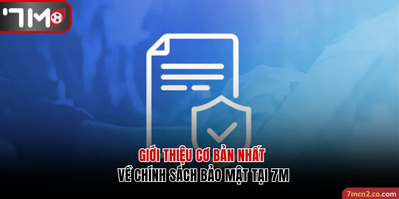 Giới thiệu cơ bản nhất về chính sách bảo mật tại 7M