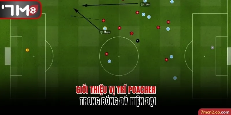 Giới thiệu vị trí poacher trong bóng đá hiện đại