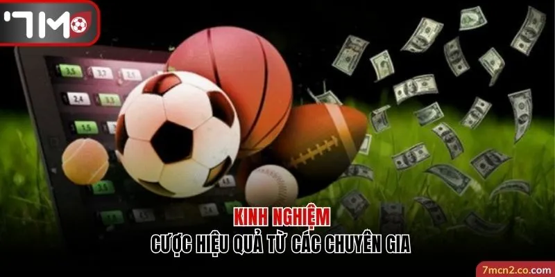 Kinh nghiệm cược hiệu quả từ các chuyên gia hàng đầu